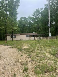 Residential Property for sale in 2781 County Road 525, Wappapello, MO, 63966