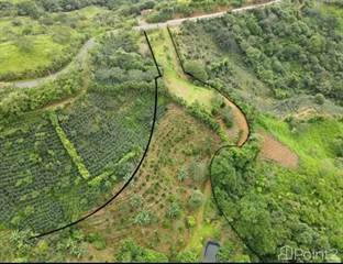 Property with views of the ocean, with terraces, fruit trees, water spring and pond with tilapia, San Ramon, Alajuela