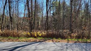 0 TEDLE BROOK RD, Greater Stamford, NY, 12093