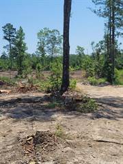 40 acres off of Huntley Trail, Pine Bluff, AR, 71603