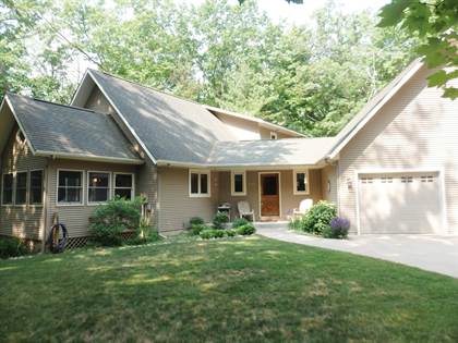 Picture of 8207 Little Lake Drive, Irons, MI, 49644