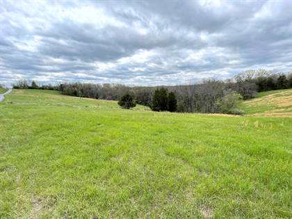 Picture of 16188 Grassy Creek Road, De Mossville, KY, 41033