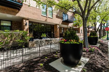 Picture of 1000 E 53RD Street 312S, Chicago, IL, 60615