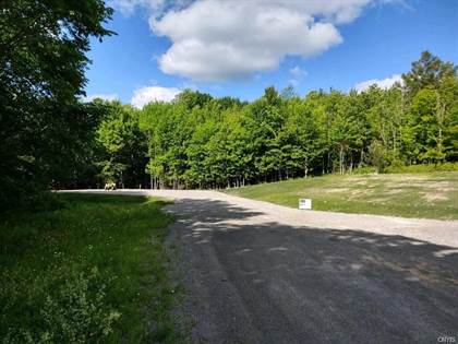 Picture of 0 Thermopylae Drive, Cortland, NY, 13045