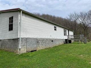 2833 Right Fork Georges Creek Road, Louisa, KY, 41230