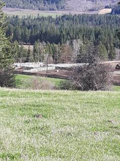 Farm And Agriculture for sale in 16 Acres - Eagle Rock Road, Armstrong, British Columbia