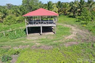 24.42 Acre Coconut And Lime Farm, Cayo, Belize