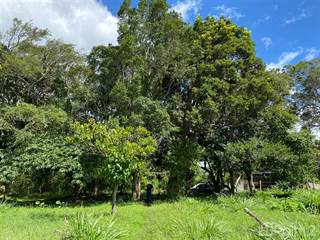 Gorgeous Building Site with Trees for Sale in Volcancito, Boquete, Boquete, Chiriquí