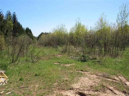 Picture of 40 Acres Off Snowmobile Trail 133, Lake Linden, MI, 49945