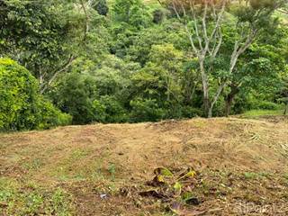 Lot opportunity with beautiful view Reduced Price!, Naranjo, Alajuela