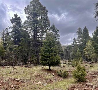 Picture of El Camino Real, Angel Fire, NM, 87710