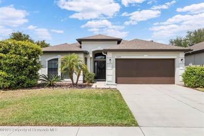 14297 Saltby Place, Spring Hill, FL, 34609