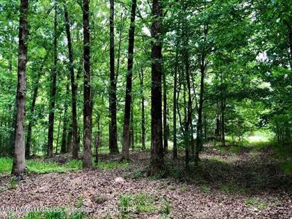 Picture of Dogwood Ranch Circle, Byhalia, MS, 38611
