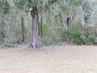 3750-A COUNTY ROAD 315A, Green Cove Springs, FL, 32043