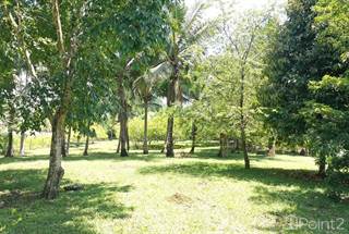 Lots And Land for sale in 70 Acres With Pristine Jungle And Trails, Belmopan, Cayo