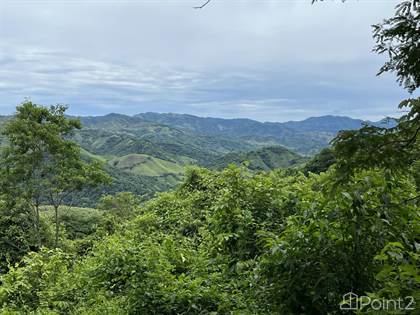 Picture of Charming Multi Unit Property in the Mountains, Samara, Guanacaste