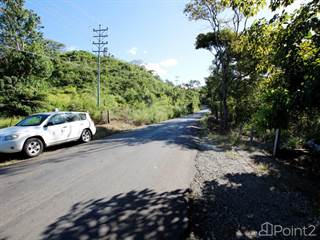 Monkey Trail Lands, Nuevo Colon, Guanacaste