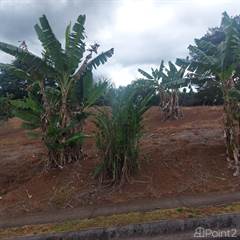Lots And Land for sale in Condominium lot with nice views 25 minutes from the airport, Naranjo, Alajuela