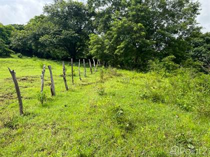 Land for Sale in Santa Cruz Guanacaste Costa Rica Point2