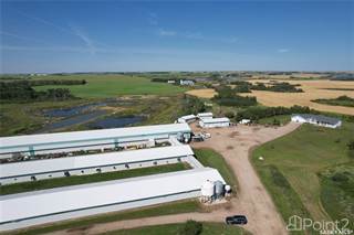 Stonehill Farms Inc., Laird Rm No. 404, Saskatchewan