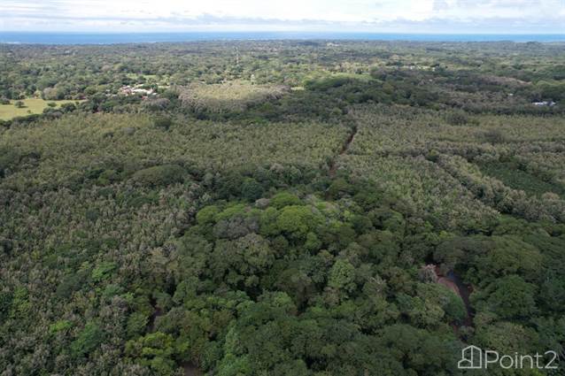 Farm For Sale With Commercial Activity – 20 Acres, Guanacaste - photo 14 of 24