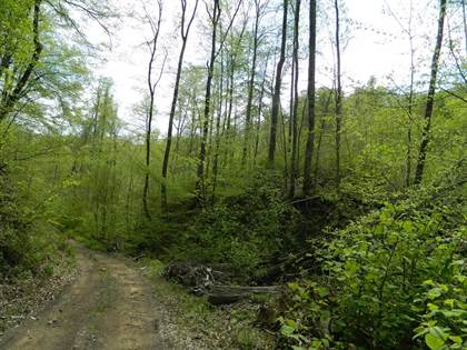 Picture of 0 Narrows Branch Road, Hardy, KY, 41531