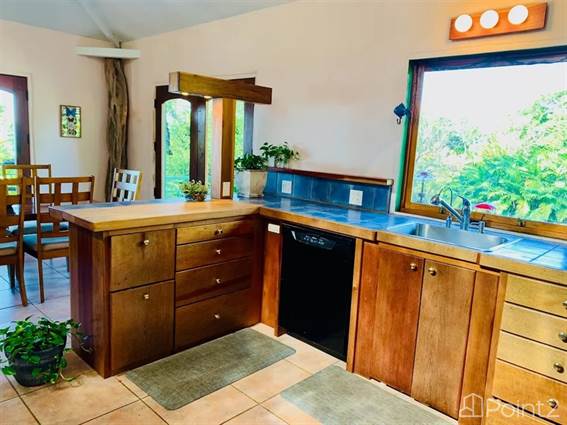 Tropical Mountain Home for Sale on 1.3 Acres in Jaramillo, Boquete - photo 9 of 10