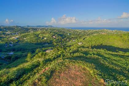 Vieques County PR Land for Sale - 12 Lots for Sale | Point2
