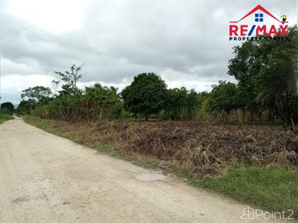 # 4034 - IDEAL 4 ACRE PROPERTY FOR OFF-GRID LIVING - near BELMOPAN CITY, CAYO DISTRICT
