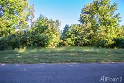 Picture of DR LEWIS RD, Ripley, TN, 38063