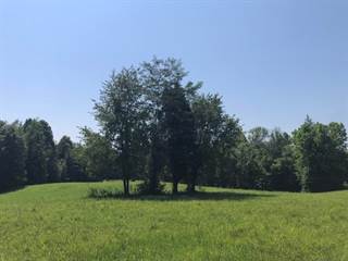 E Atwood Ln, Cloverport, KY, 40111