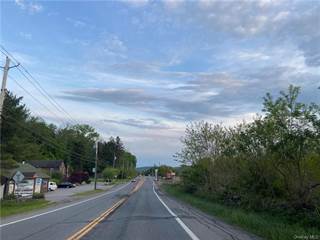 3131 Route 22, Patterson, NY, 12563
