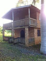 Coffee Plantation in Utuado with Houses, Utuado, PR, 00641