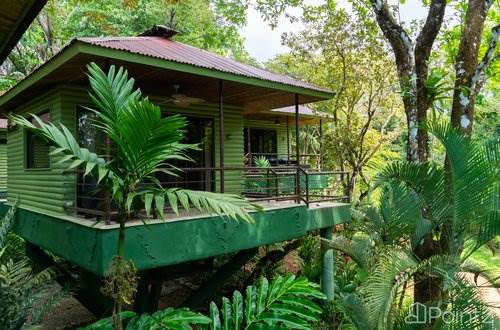 House For Sale at 6 Beautiful Tree House Villas and Owners Home on ...