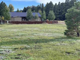 9 Oriole Court, Pagosa Springs, CO, 81147