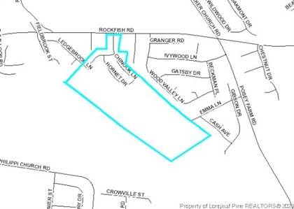 Picture of 47.03 Acres Rockfish Road, Raeford, NC, 28376