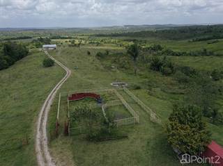 434 acre Ranch| Cayo Belize Real Estate, Belmopan, Cayo