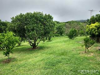 Must see! Gorgeous and unique property with beautiful mountain views and so much to offer., Atenas, Alajuela