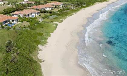 Luxurious Villa Jasmine, Guana Bay, St Maarten, SXM - photo 1 of 30