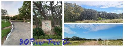 90 River Tree Drive, Blessing, TX, 77419