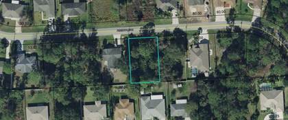 Picture of 36 PINEAPPLE DRIVE, Palm Coast, FL, 32164