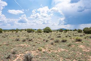 Tract 15 James Valley Rd., Ramah, NM, 87321