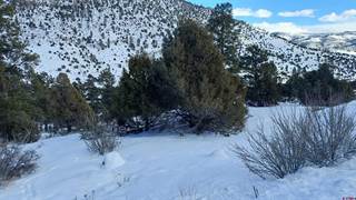 394 Timberline Drive, South Fork, CO, 81154