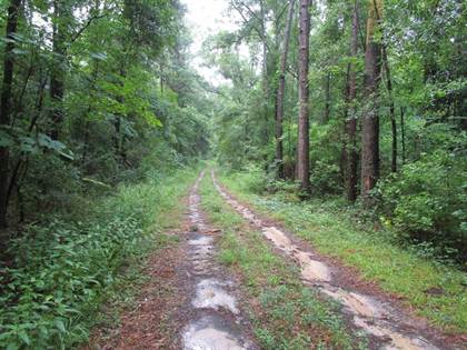 Picture of 0000 Tired Creek Rd, Whigham, GA, 39897