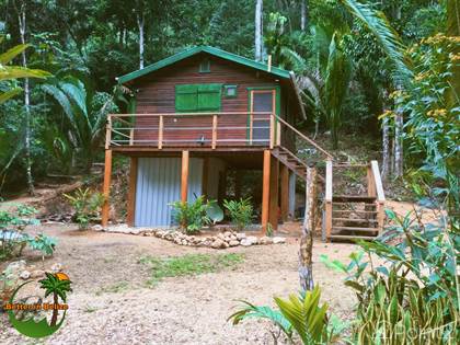 Hydroponics In Belize