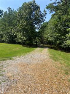 Picture of County Road 229, Coffeeville, MS, 38922