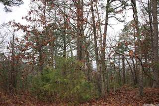 00 Water Tower Road Lot 17, Salesville, AR, 72653