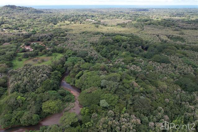 Farm For Sale With Commercial Activity – 20 Acres, Guanacaste - photo 15 of 24