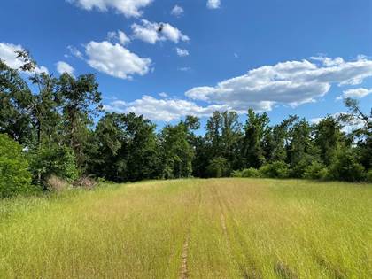 Lots And Land for sale in 000 Moulder Rd., Port Gibson, MS, 39150