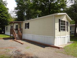 Houses Apartments For Rent In Promised Land State Park Pa From